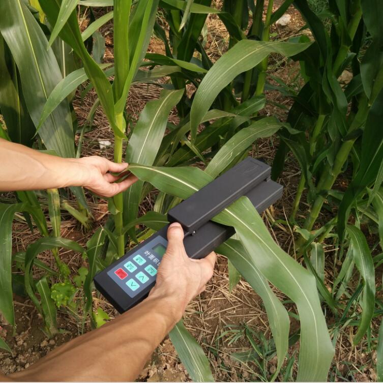 葉面積測定儀走進(jìn)我們的農(nóng)業(yè)種植當(dāng)中