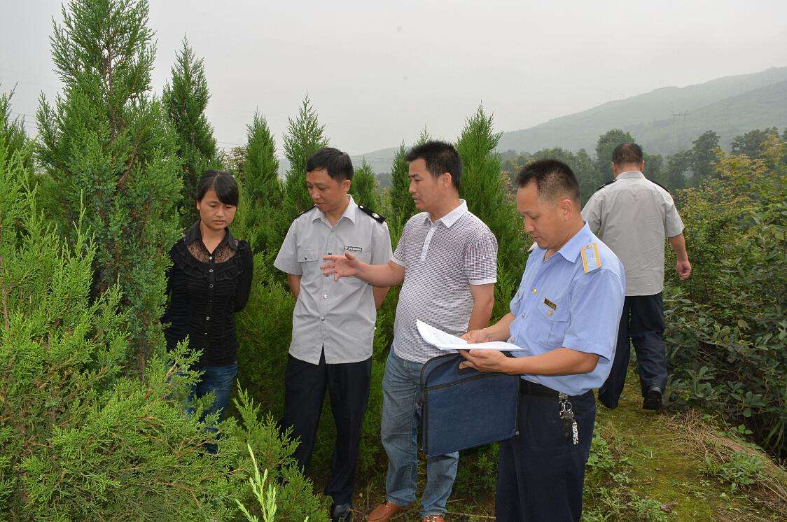 林業檢測 林業檢測