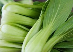 植物冠層分析儀如何助力農業研究？