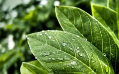 植物營養測定儀的使用有哪些好處？